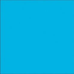 Duck Tape® Brand Colored Duct Tape, Electric Blue -Scott Stationery Shop s0554973 s7