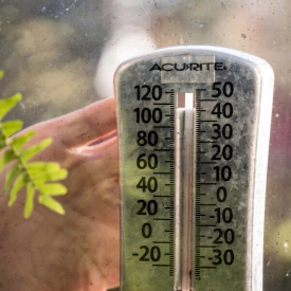 T-REX® Strong And Clear Mounting Tape, Clear, 1" X 60" (285338) 5 T-REX® Strong And Clear Mounting Tape, Clear, 1" X 60" (285338) - Image 3